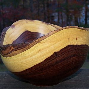 Camphor Natural Edge Bowl