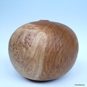 Burr brown oak hollow form