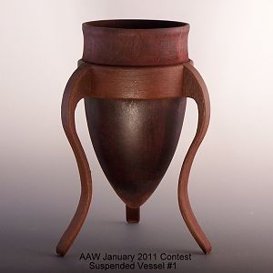 AAW January 2011 Contest