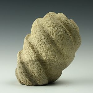 Coral Form 1