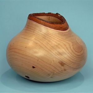 Natural Edge Hollow Form