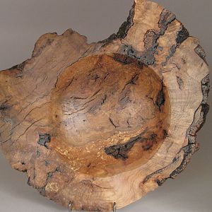 oak burl