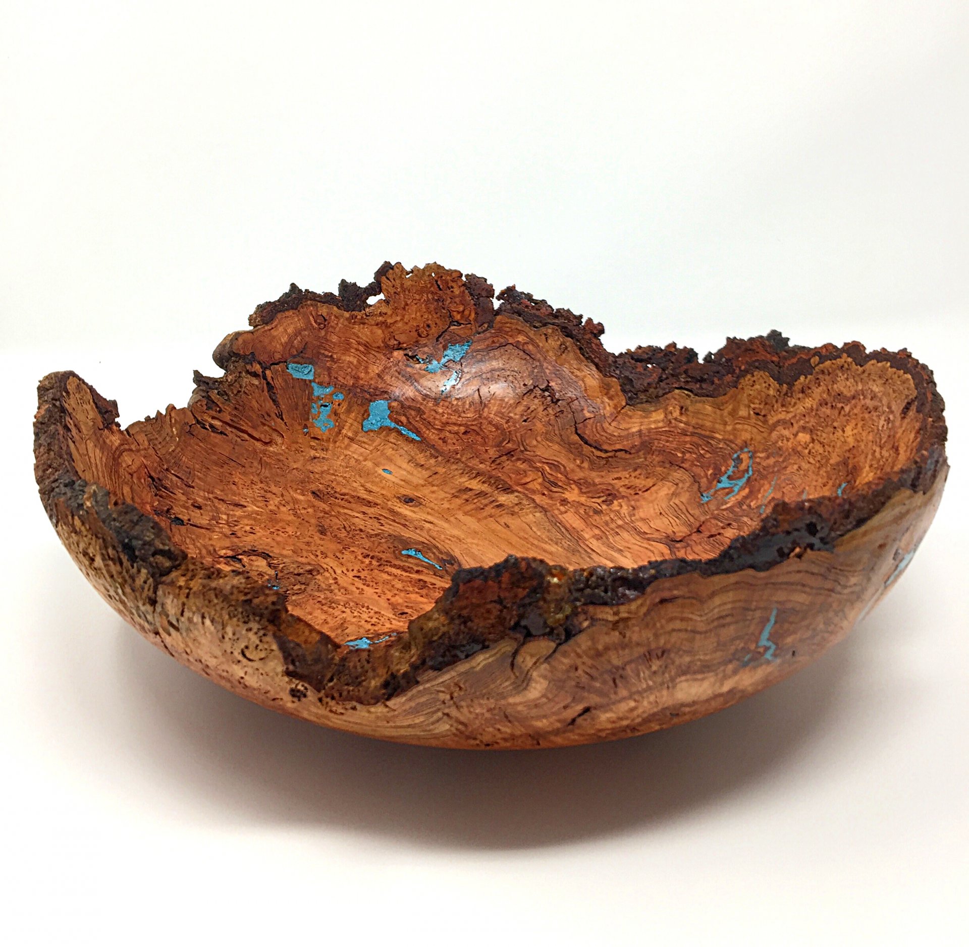 12” Cherry Burl with turquoise inlay