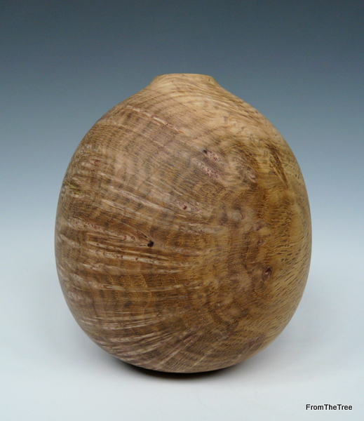 Burr oak hollow form