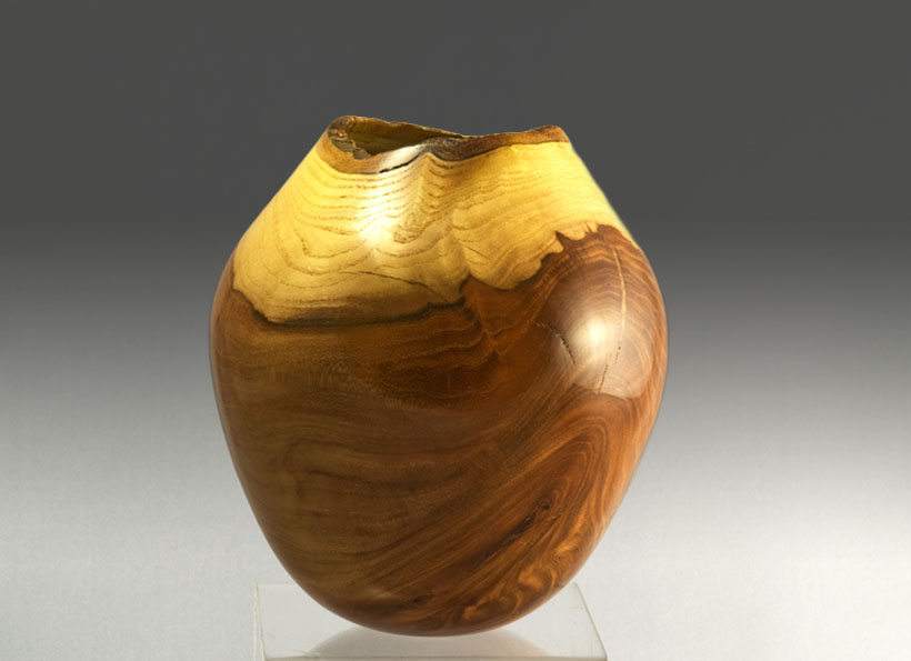 Chinese Elm Hollow Form