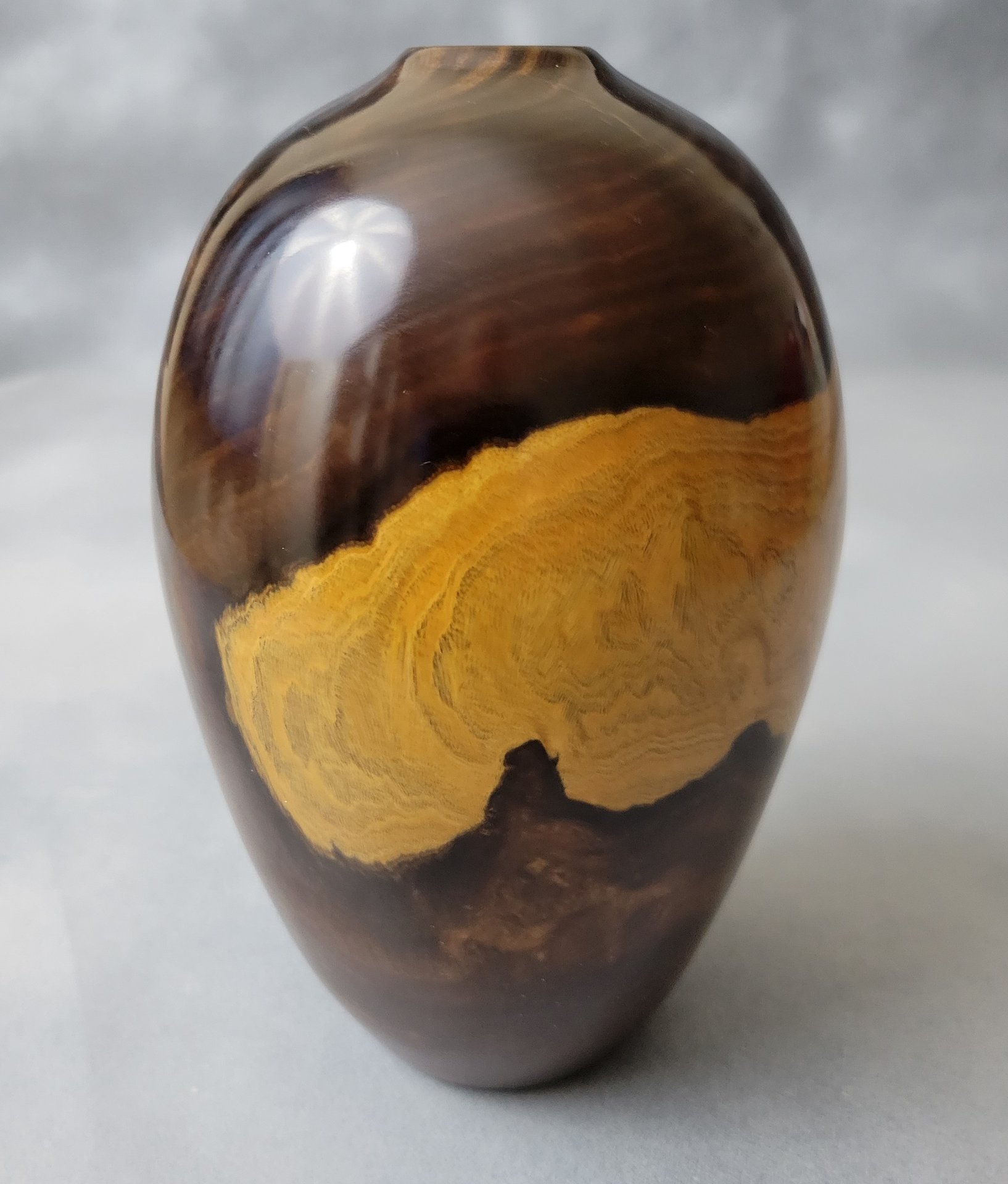 Desert Ironwood Vase II