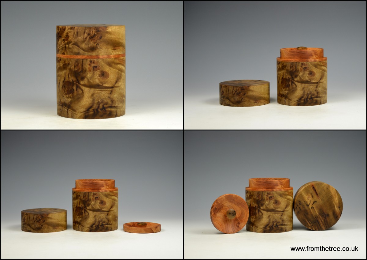 Golden Madrone Box with thuya burr