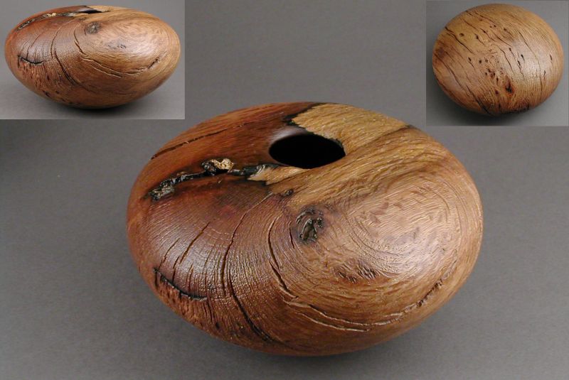 Holm oak hollow form