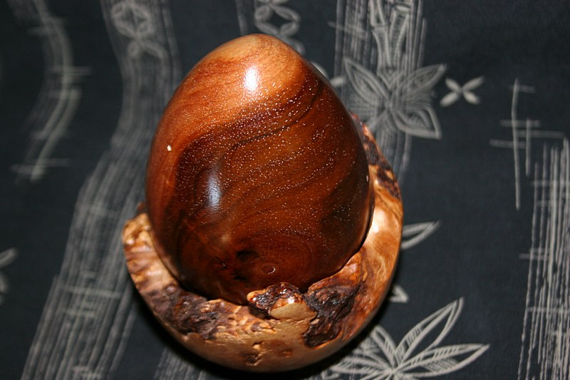 Milo Egg and Nest