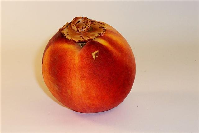 peach seed bowl