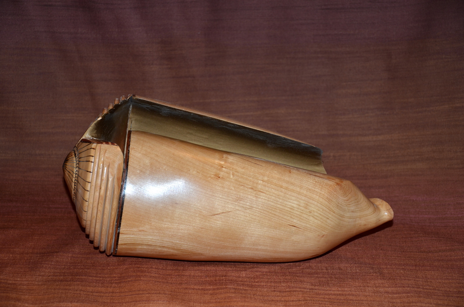 Prototype sea shell