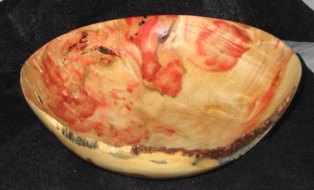 Red Flame Box Elder pic 2