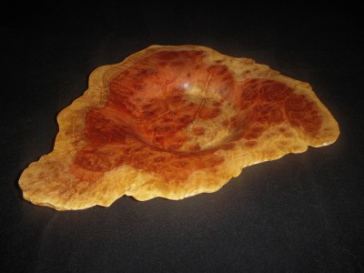 Red Morrell Burl