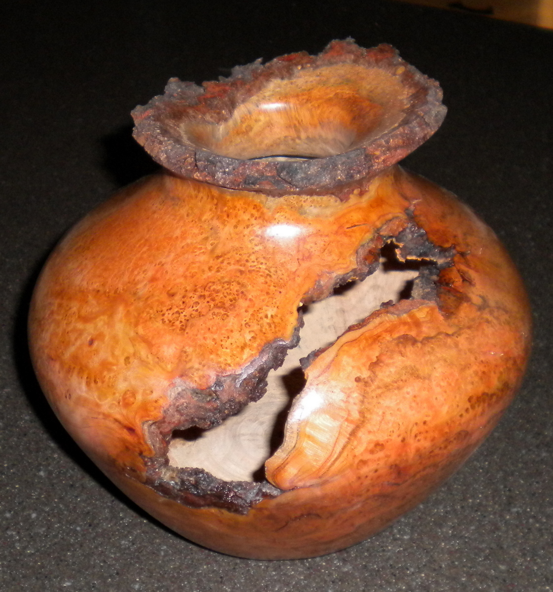 Salvaged Choke Cherry Vase