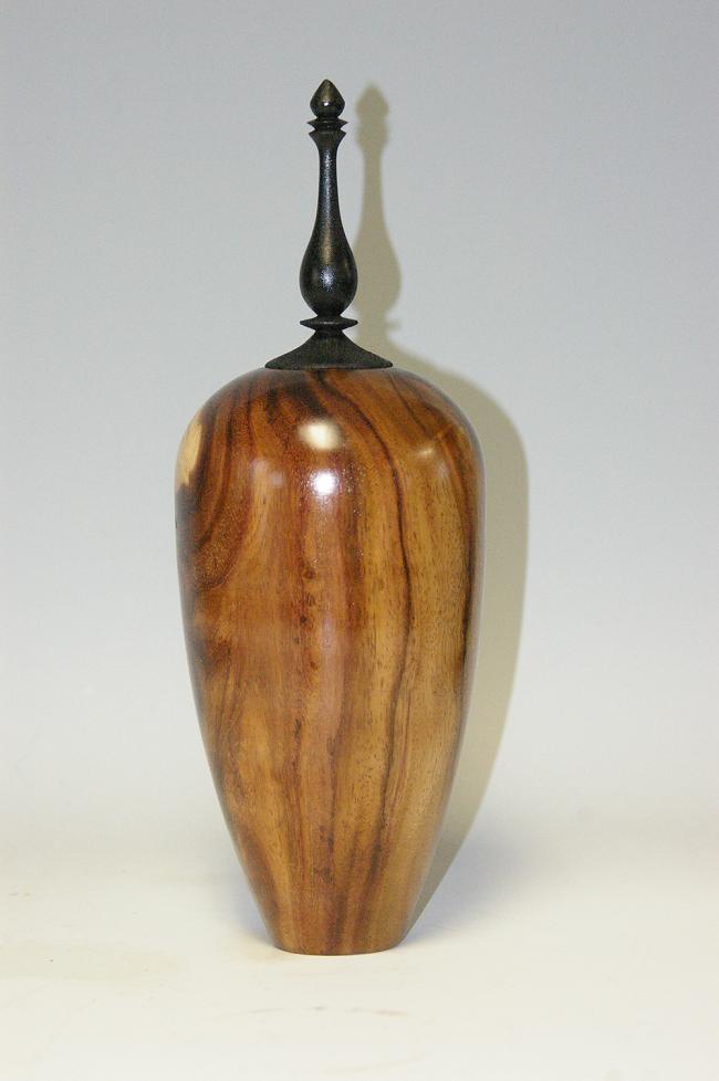 Sisso Dalibergia {rosewood} hollow form