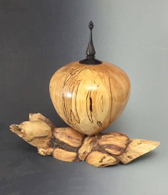 Spalted Beech and pine