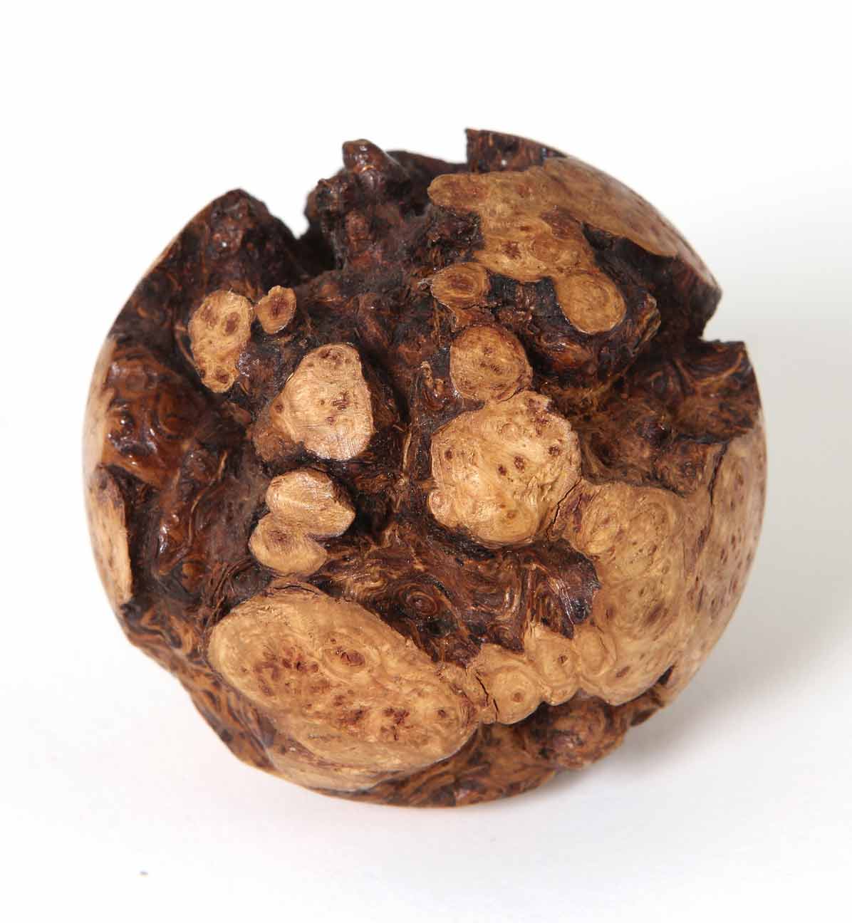 Sphere, oak branch burl