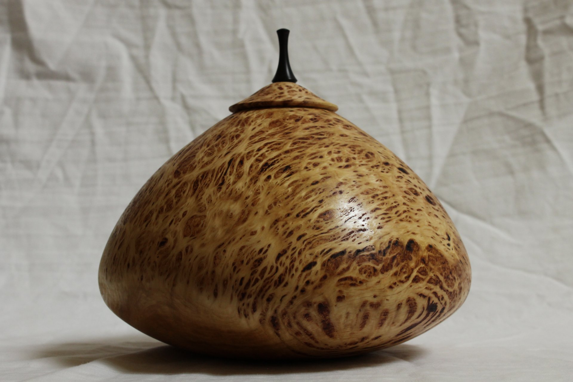 White cedar burl vessel