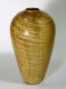 Curly Maple 4 18 04.JPG