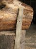 Chainsawing2.jpg