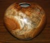 silver_poplar1_2276.jpg