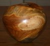 silver_poplar2_2277.jpg