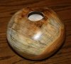silver_poplar3_2278.jpg