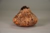 punkyspaltedmapleform01.jpg