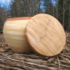 Bottom-Tenon-Box-2.jpg