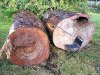 amer.woodturners pecan 003DDD.jpg