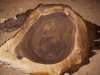 Burl 008s.JPG