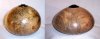 Camphor Hollow Form 1_2.jpg