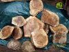 BlackAshBurl.jpg