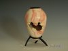 bleached box elder3a3.JPG