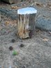100_0080.JPG