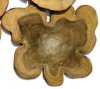 Hawthorn tree log shape.jpg