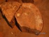 cracked oak blank.JPG