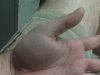 thumb1.jpg thumb1.jpg