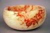 box elder (resized).jpg