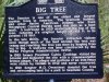 PC260021.JPG