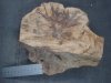 burl-bottom.jpg