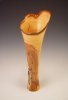 Cherry Log Vase Maquette.jpg