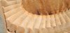 Maple-BL-2.JPG Maple-BL-2.JPG