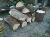 DSCF8817.JPG DSCF8817.JPG