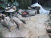 DSCF8825.JPG DSCF8825.JPG
