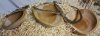 bowls with loose bark.jpg