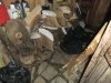 DSCF8897 (800x600).jpg