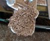 1stcoringblankcarbideshavings.jpg 1stcoringblankcarbideshavings.jpg