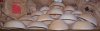 Dried in Paper bags.jpg