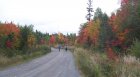 fall colors.jpg